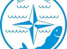 Пеленгас неразделанный мороженый. ООО "Альфа-Миус-2"